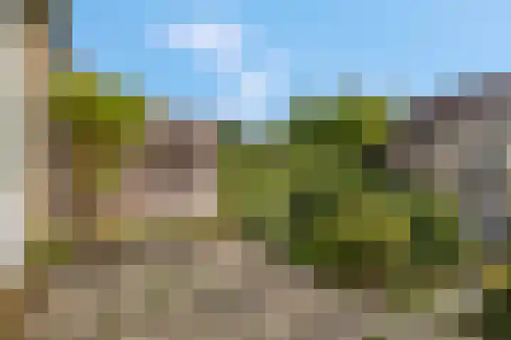 Den Oven 14 Rhenen thumbnail 23