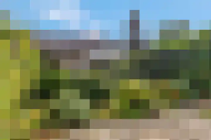 Den Oven 14 Rhenen thumbnail 25
