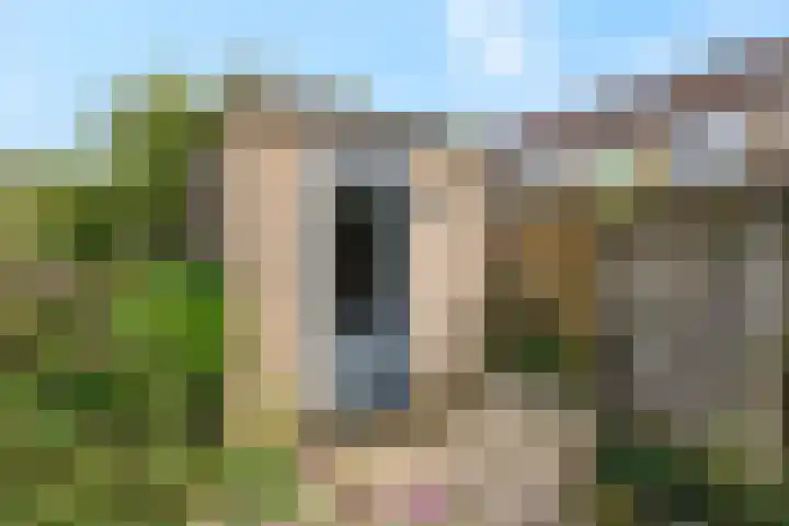 Den Oven 14 Rhenen thumbnail 27