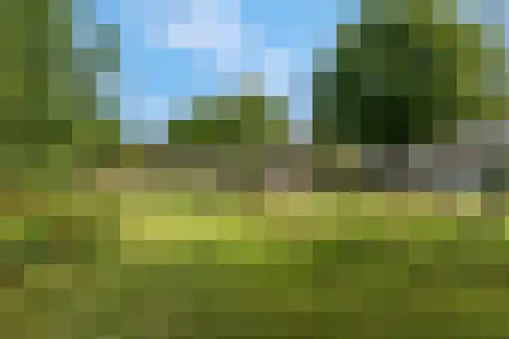 Den Oven 14 Rhenen thumbnail 32