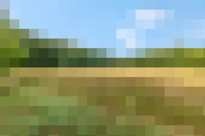 Den Oven 14 Rhenen thumbnail 33