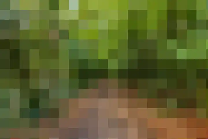 Den Oven 14 Rhenen thumbnail 35