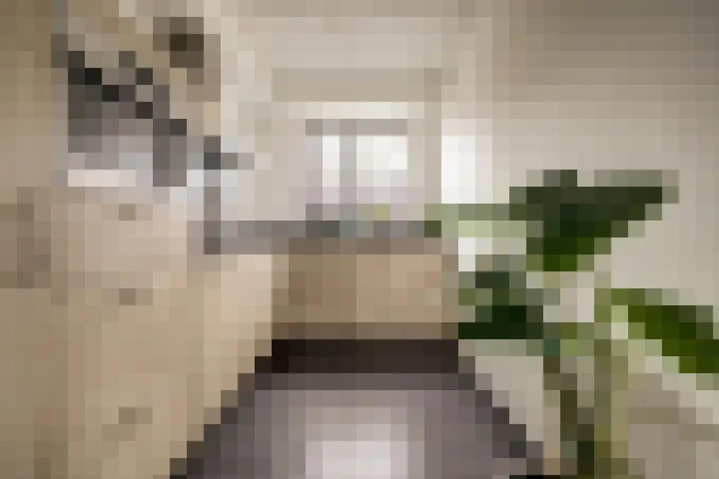 Den Oven 15 Geffen thumbnail 10