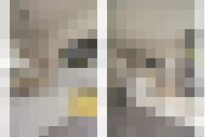 Den Oven 15 Geffen thumbnail 10