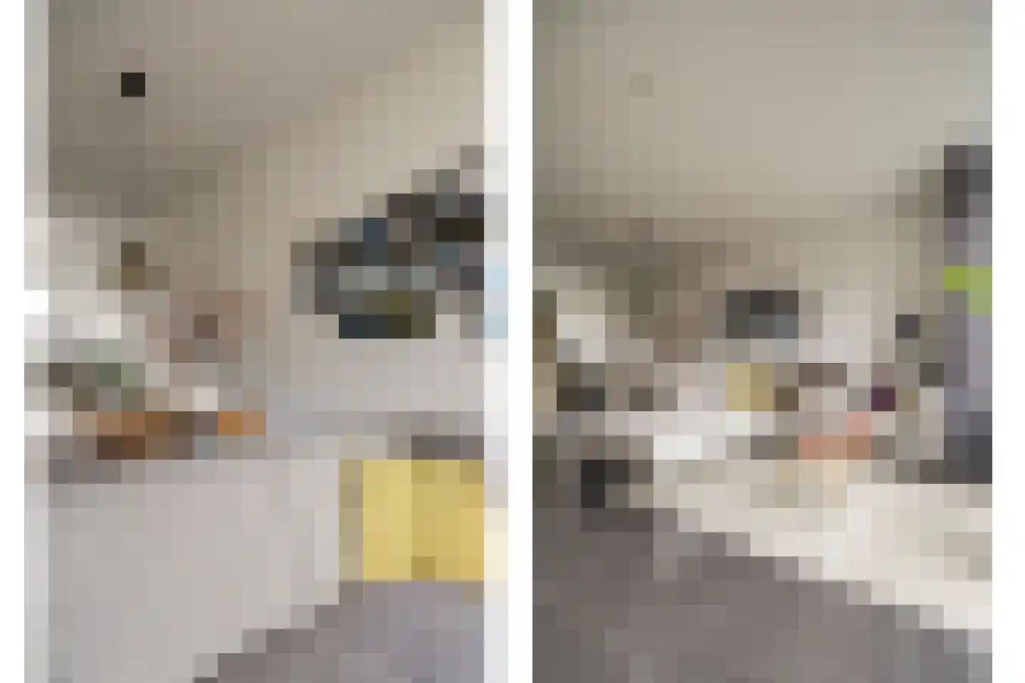 Den Oven 15 Geffen thumbnail 12