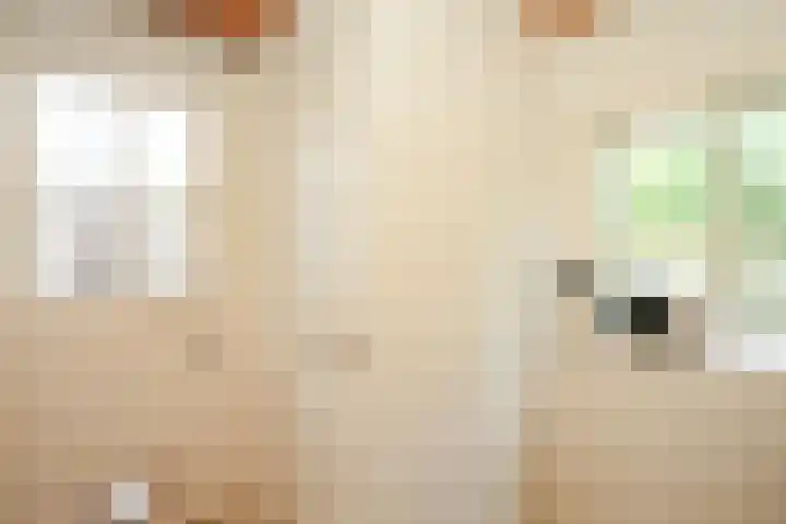 Den Oven 15 Geffen thumbnail 13