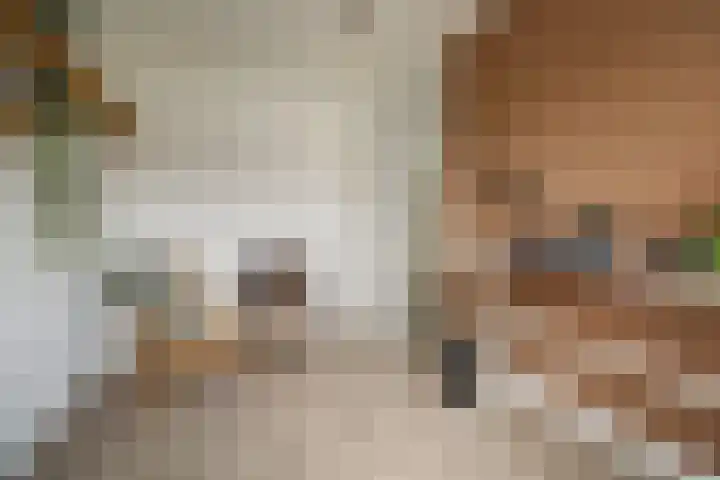 Den Oven 15 Geffen thumbnail 21