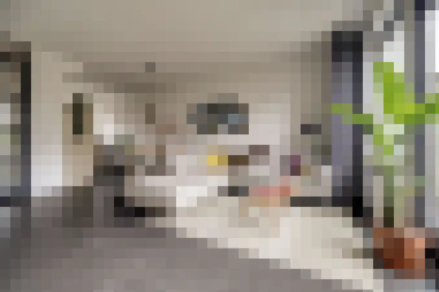 Den Oven 15 Geffen thumbnail 5