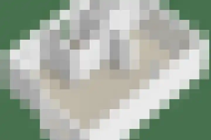 Den Oven 37 Geffen thumbnail 41