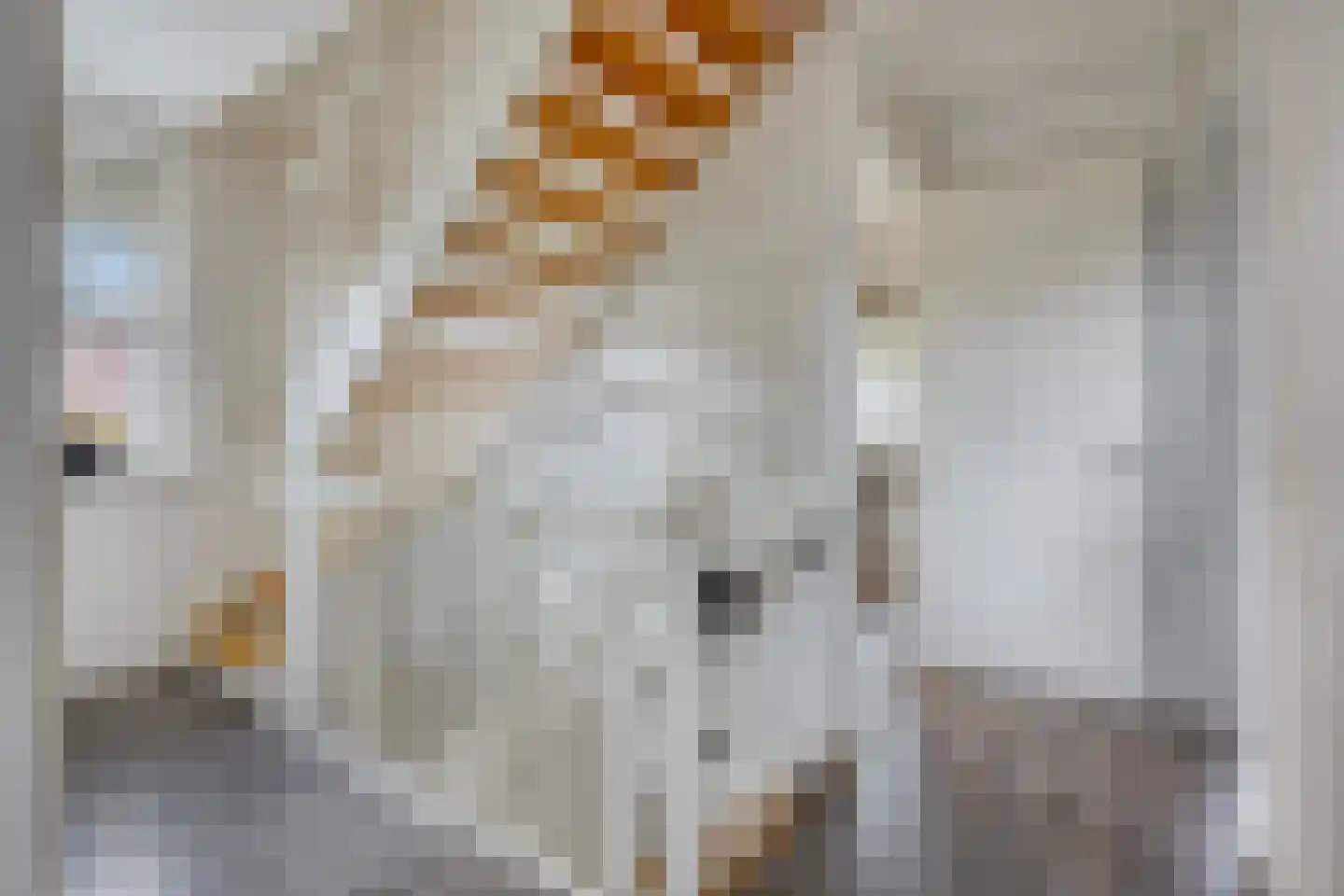Den Oven 41 Geffen thumbnail 13