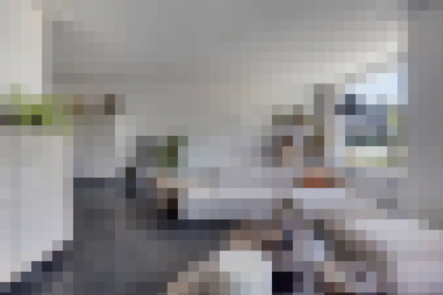 Den Oven 41 Geffen thumbnail 5
