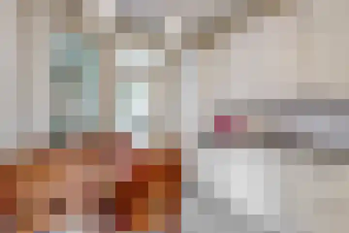 Den Roover 22 Reuver thumbnail 11