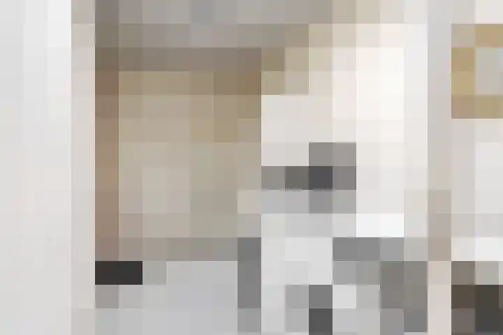Den Roover 22 Reuver thumbnail 13