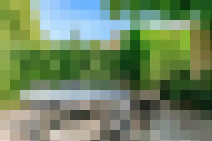 Den Roover 22 Reuver thumbnail 28