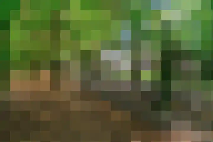 Den Roover 22 Reuver thumbnail 36