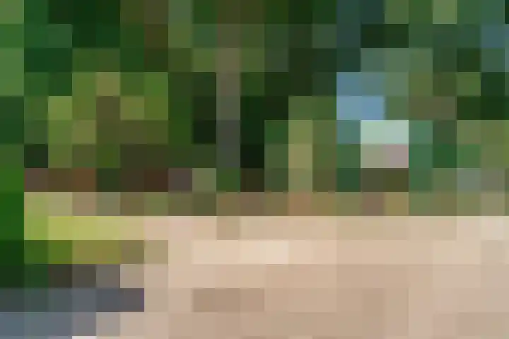 Den Roover 22 Reuver thumbnail 38