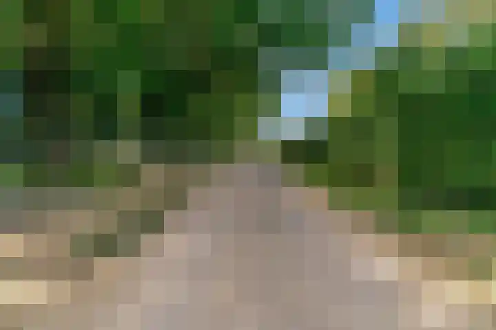 Den Roover 22 Reuver thumbnail 39