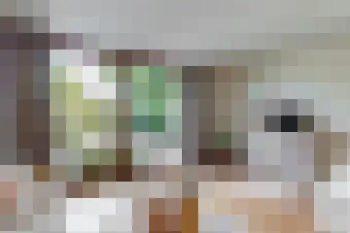 Den Roover 22 Reuver thumbnail 7