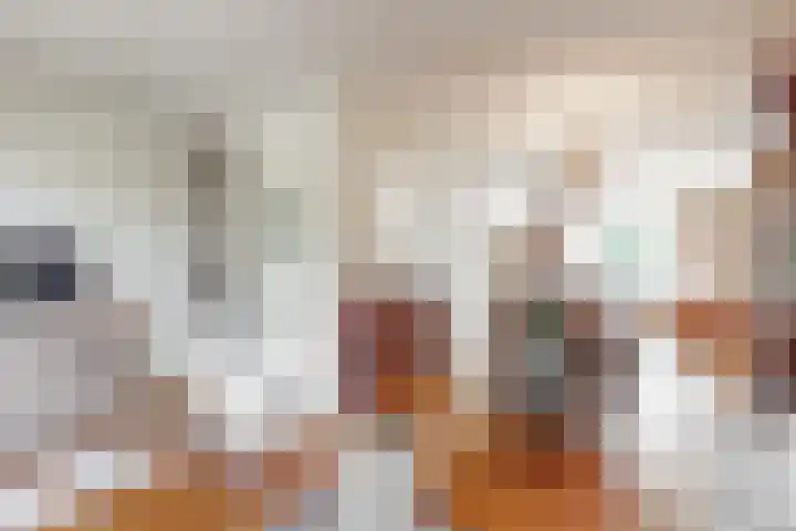 Den Roover 22 Reuver thumbnail 9