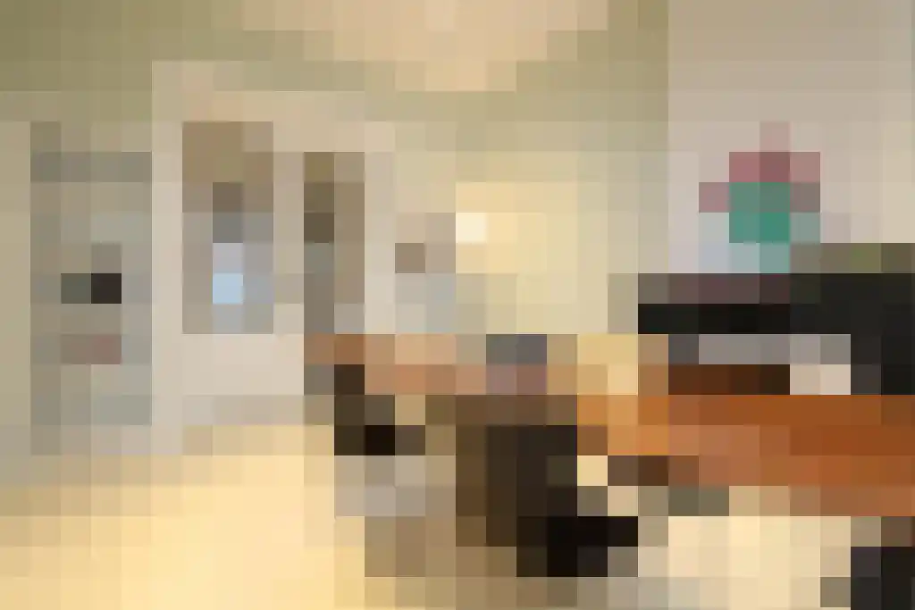 Den Texstraat 41 Amsterdam thumbnail 6