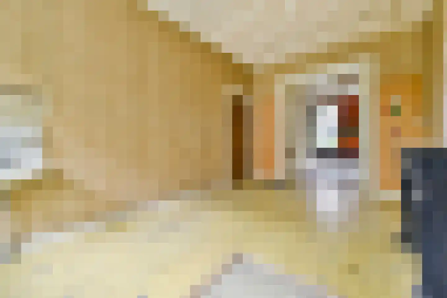 Den Texstraat 51 2 Amsterdam thumbnail 10
