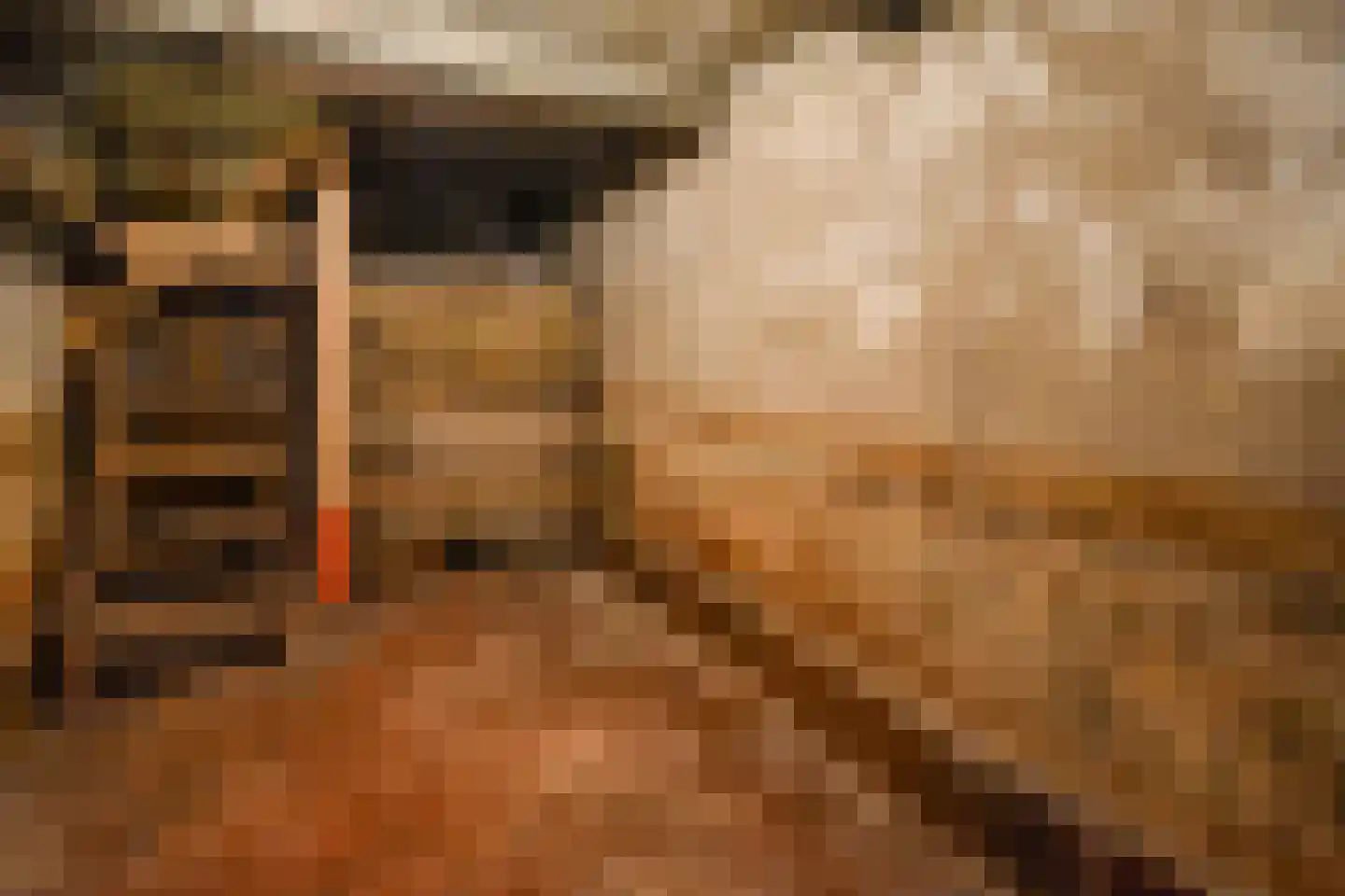 Den Texstraat 51 H Amsterdam thumbnail 33
