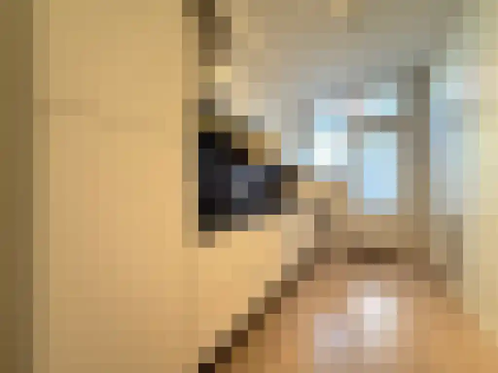 Den Texstraat 7 Amsterdam thumbnail 6