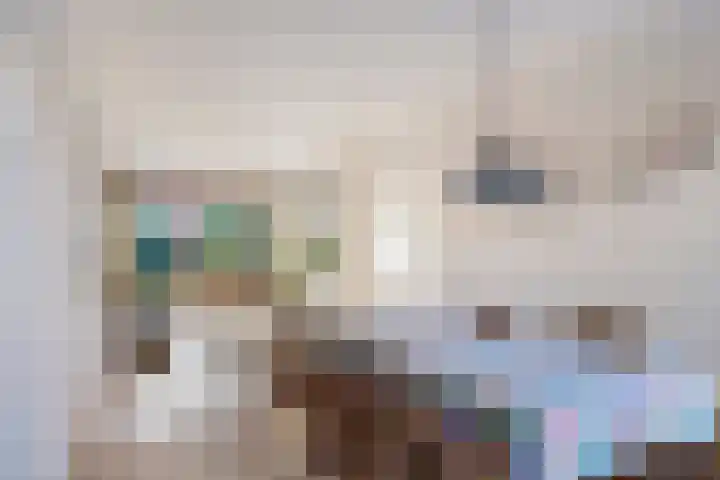 Den Tollstraat 38 Koudekerk aan den Rijn thumbnail 15