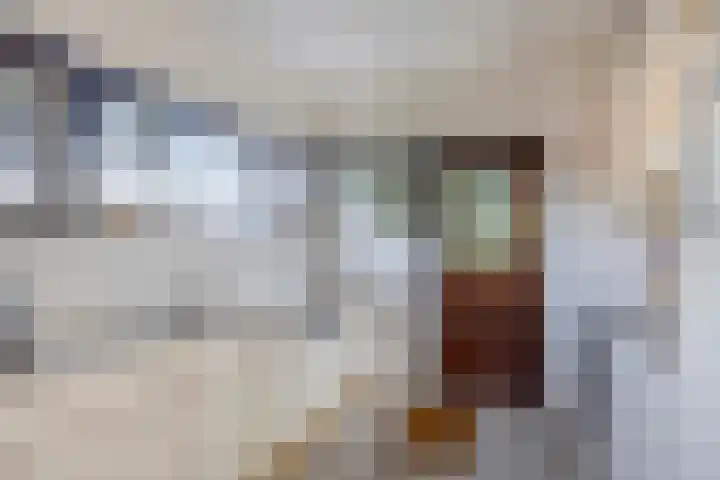 Den Tollstraat 38 Koudekerk aan den Rijn thumbnail 16