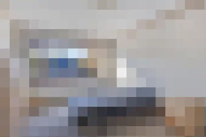 Den Tollstraat 38 Koudekerk aan den Rijn thumbnail 20