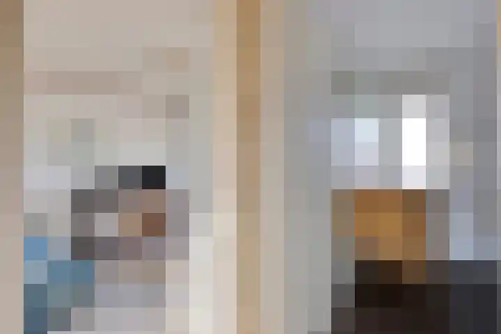 Den Tollstraat 38 Koudekerk aan den Rijn thumbnail 26