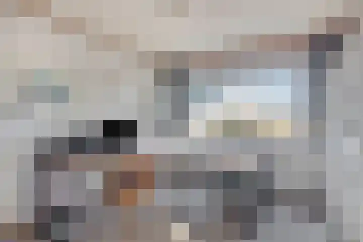 Den Tollstraat 38 Koudekerk aan den Rijn thumbnail 31
