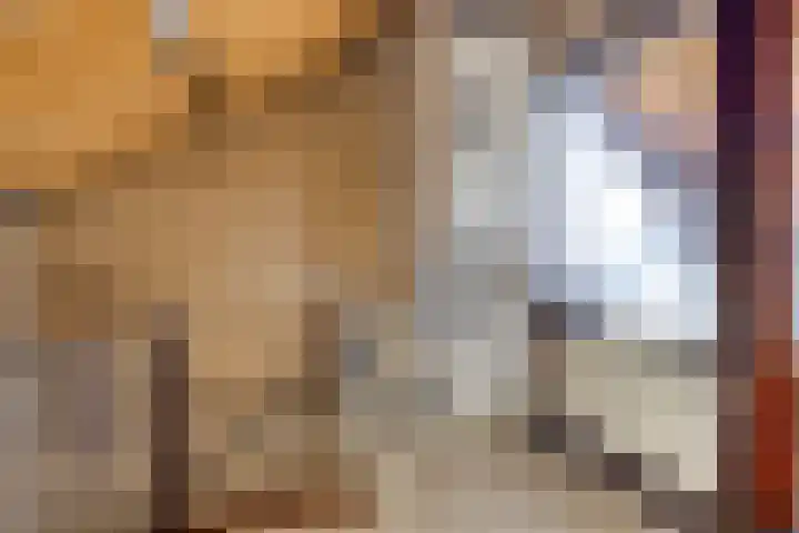 Den Tollstraat 38 Koudekerk aan den Rijn thumbnail 32