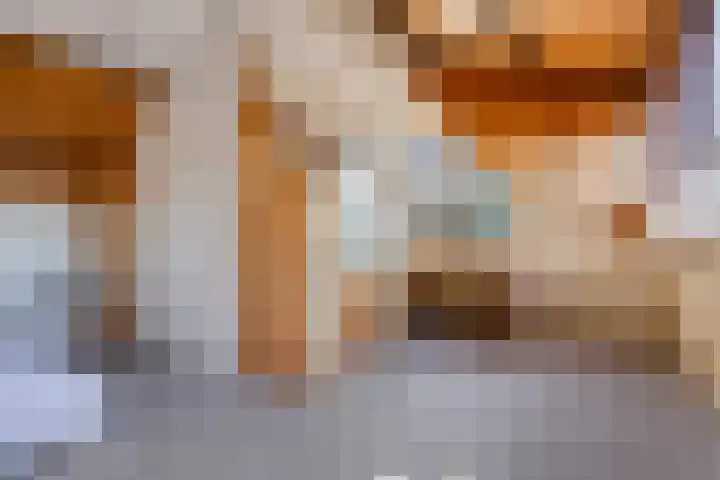 Den Tollstraat 38 Koudekerk aan den Rijn thumbnail 37