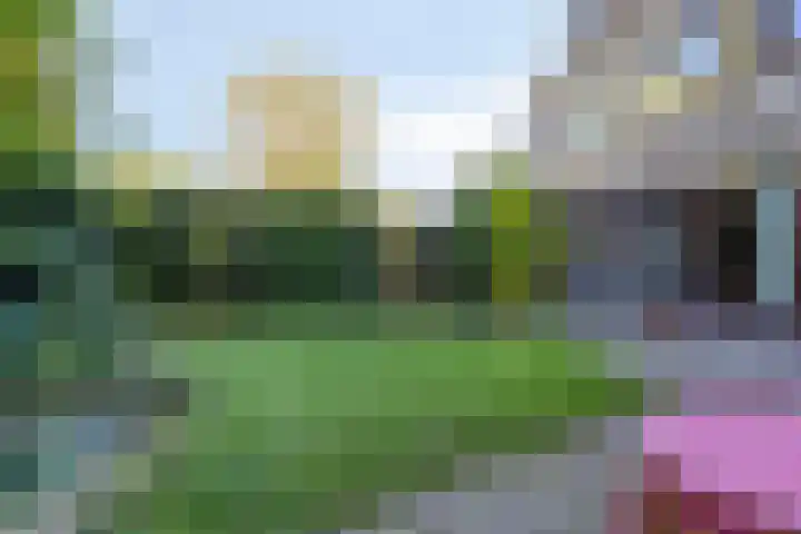 Den Tollstraat 38 Koudekerk aan den Rijn thumbnail 43