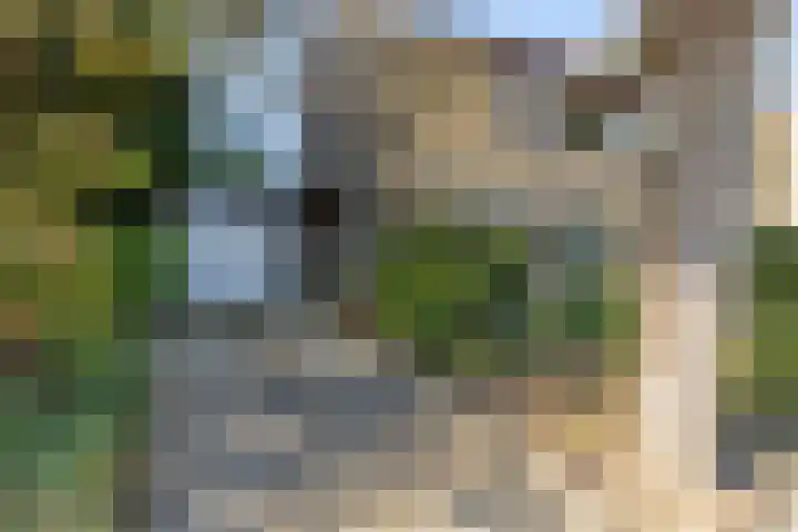 Den Tollstraat 38 Koudekerk aan den Rijn thumbnail 5