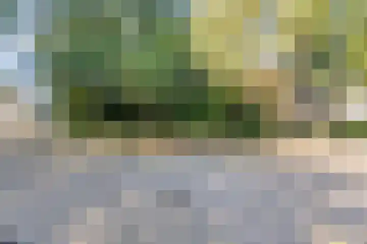 Den Tollstraat 38 Koudekerk aan den Rijn thumbnail 50