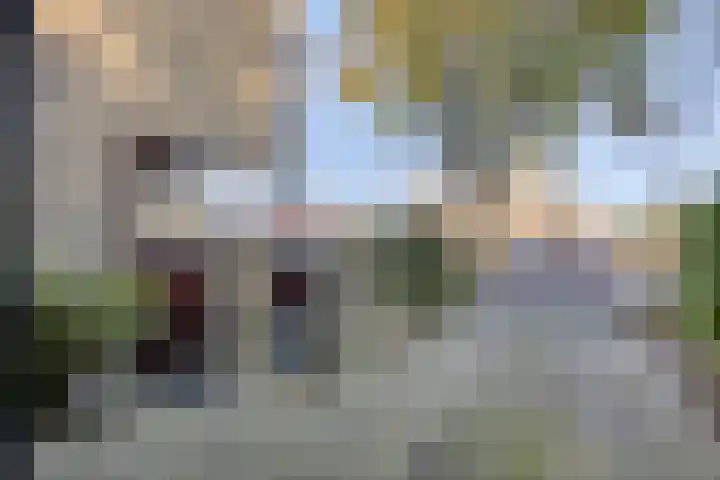 Den Tollstraat 38 Koudekerk aan den Rijn thumbnail 6