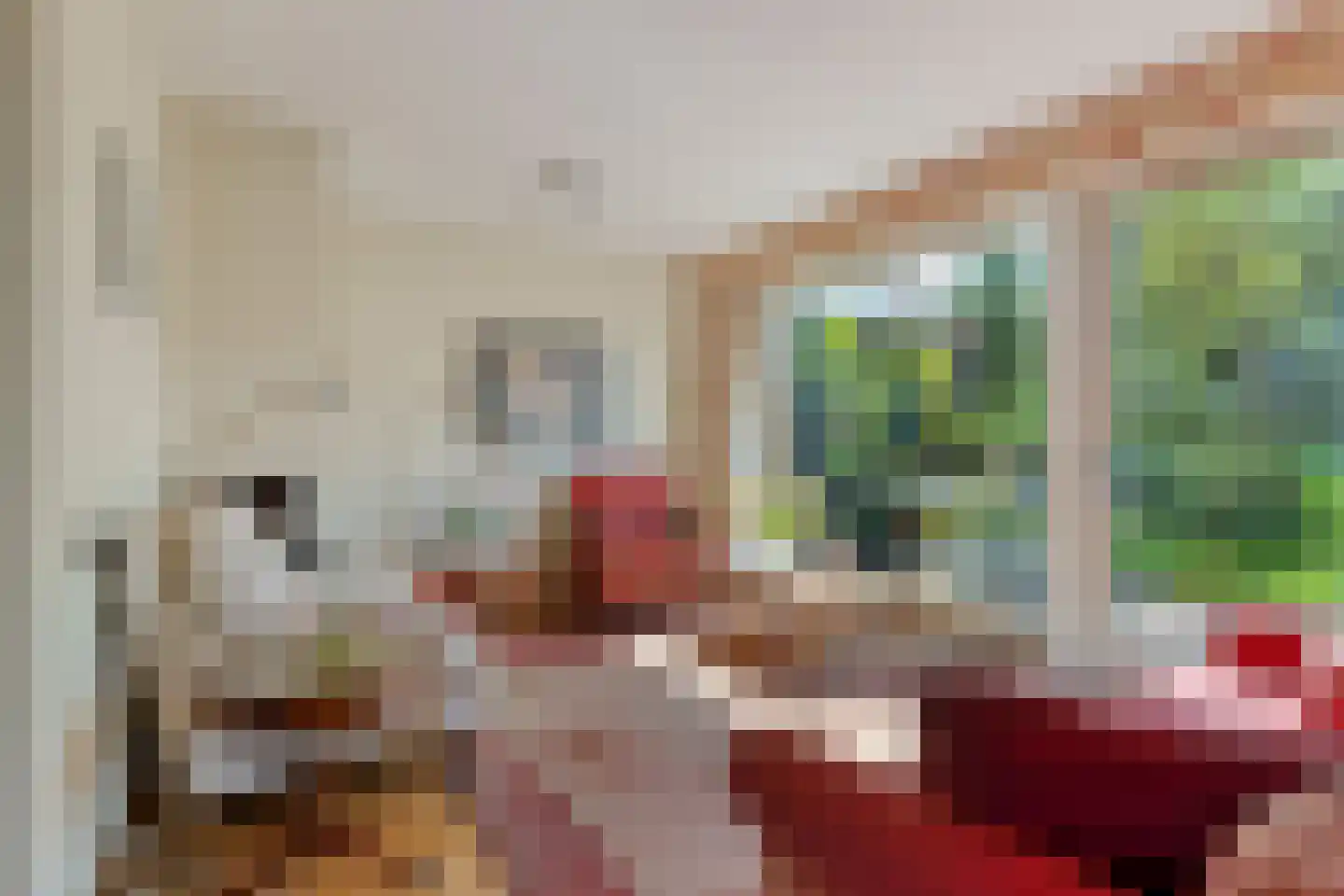Den Tollstraat 42 Koudekerk aan den Rijn thumbnail 10