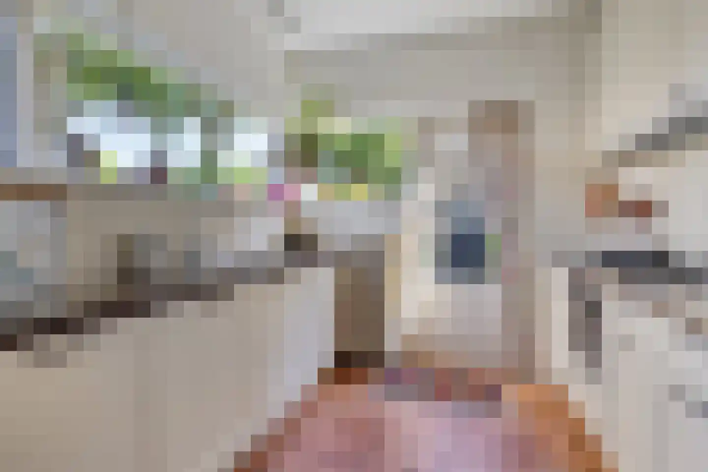 Den Tollstraat 42 Koudekerk aan den Rijn thumbnail 18