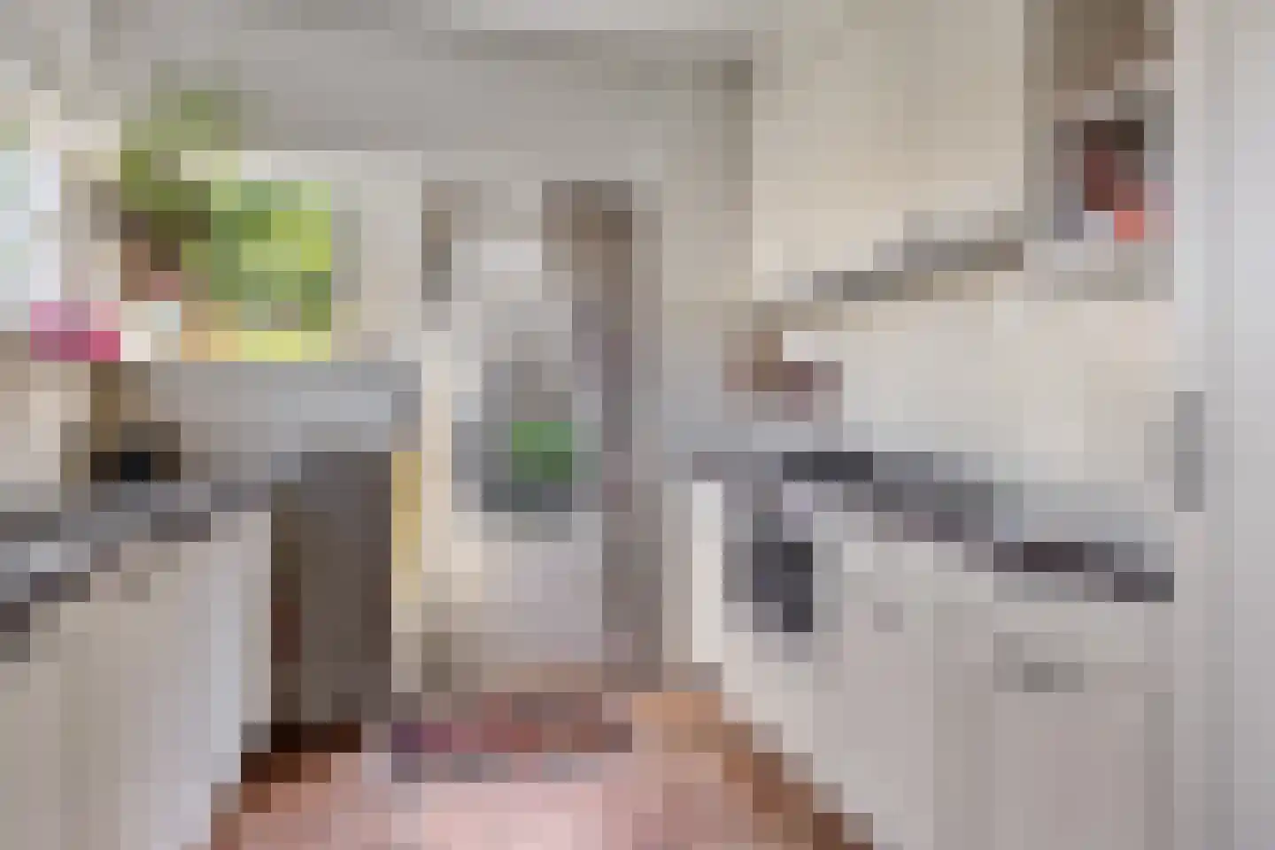 Den Tollstraat 42 Koudekerk aan den Rijn thumbnail 19
