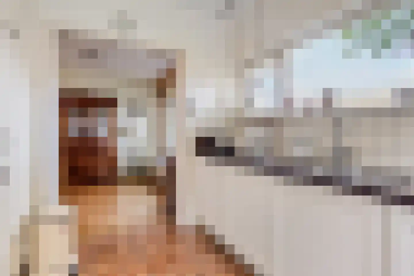 Den Tollstraat 42 Koudekerk aan den Rijn thumbnail 20