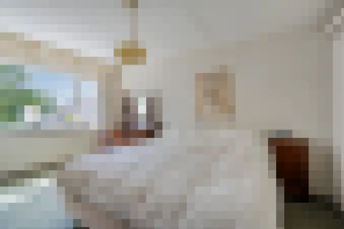 Den Tollstraat 42 Koudekerk aan den Rijn thumbnail 23