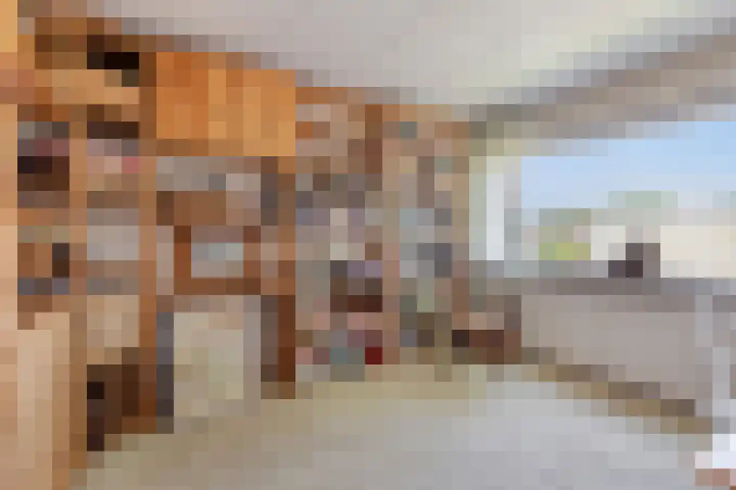 Den Tollstraat 42 Koudekerk aan den Rijn thumbnail 28