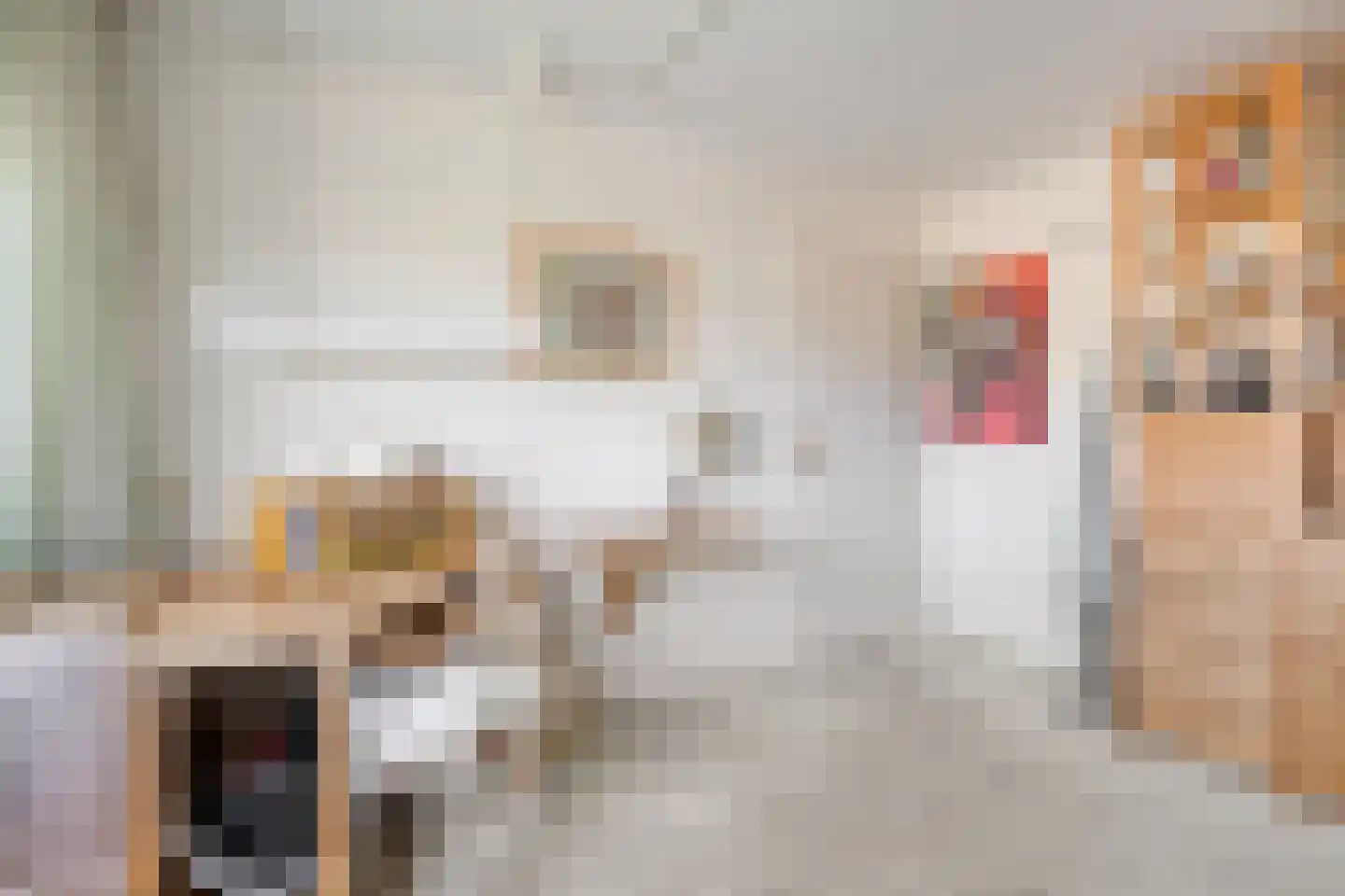 Den Tollstraat 42 Koudekerk aan den Rijn thumbnail 29
