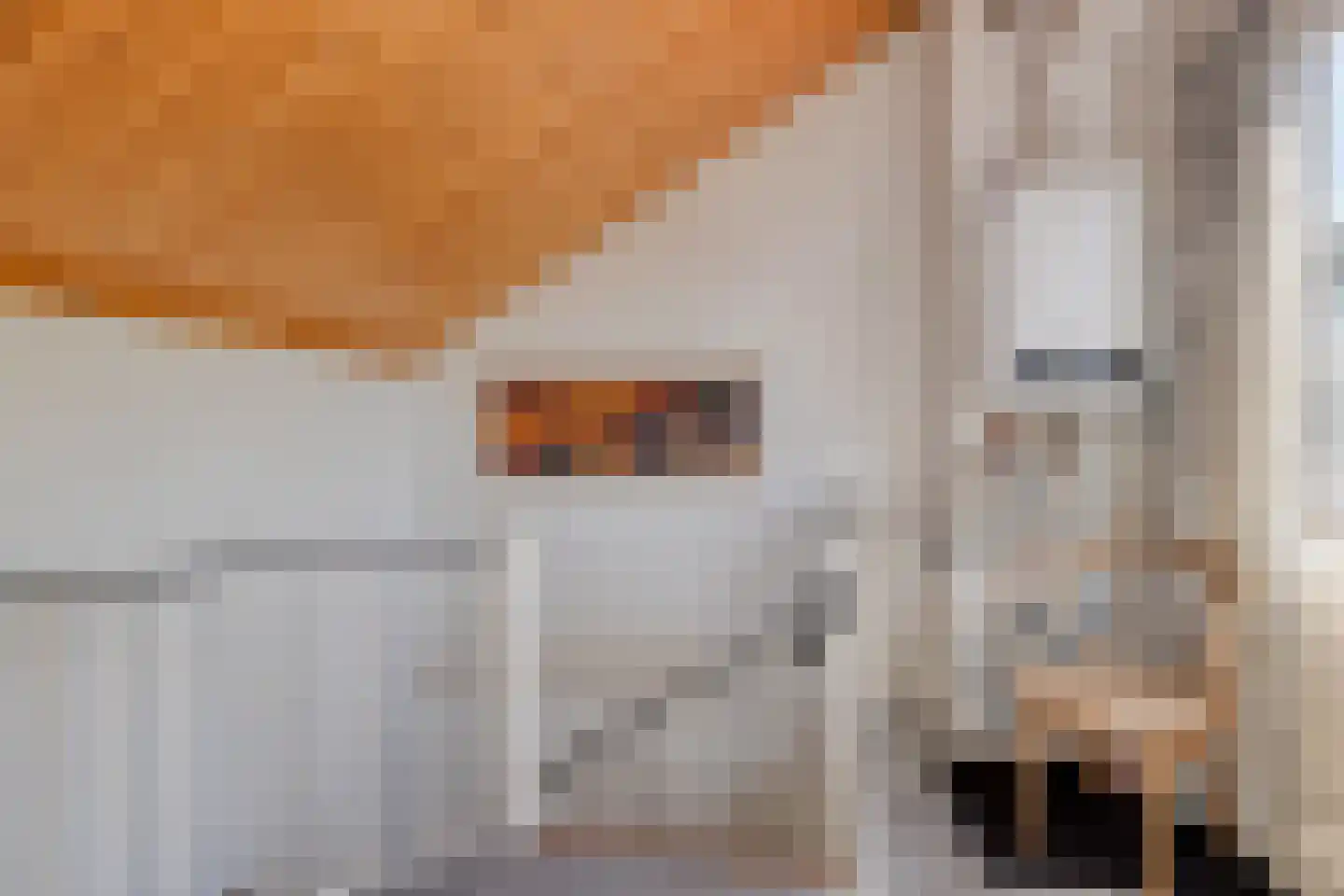 Den Tollstraat 42 Koudekerk aan den Rijn thumbnail 32