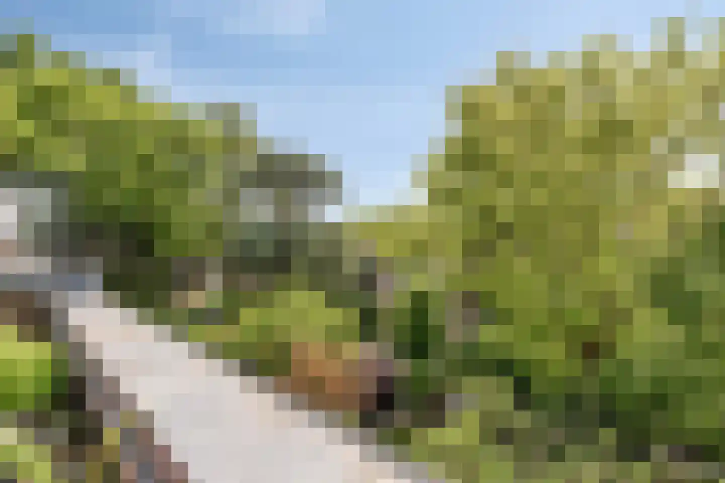 Den Tollstraat 42 Koudekerk aan den Rijn thumbnail 38