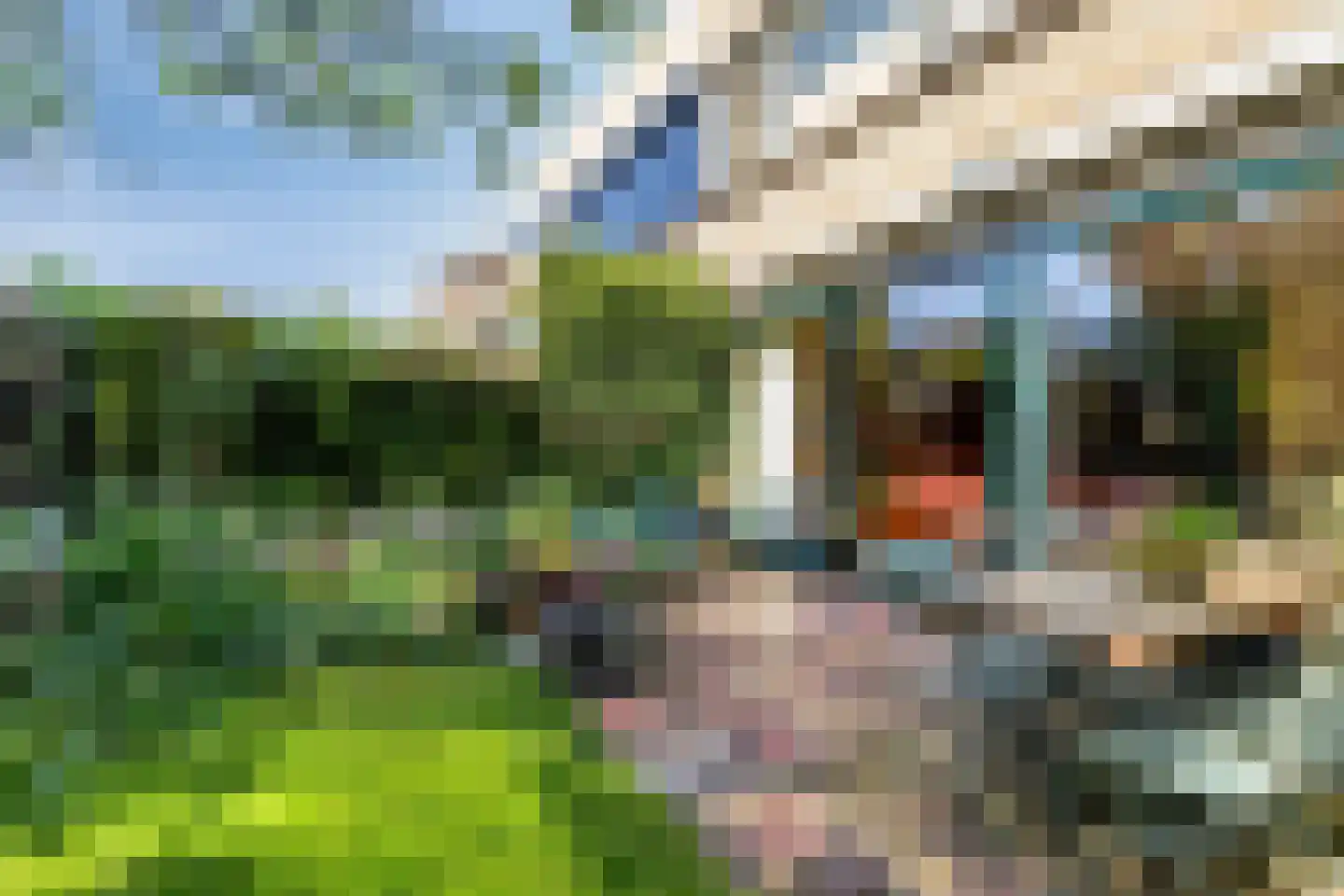 Den Tollstraat 42 Koudekerk aan den Rijn thumbnail 43