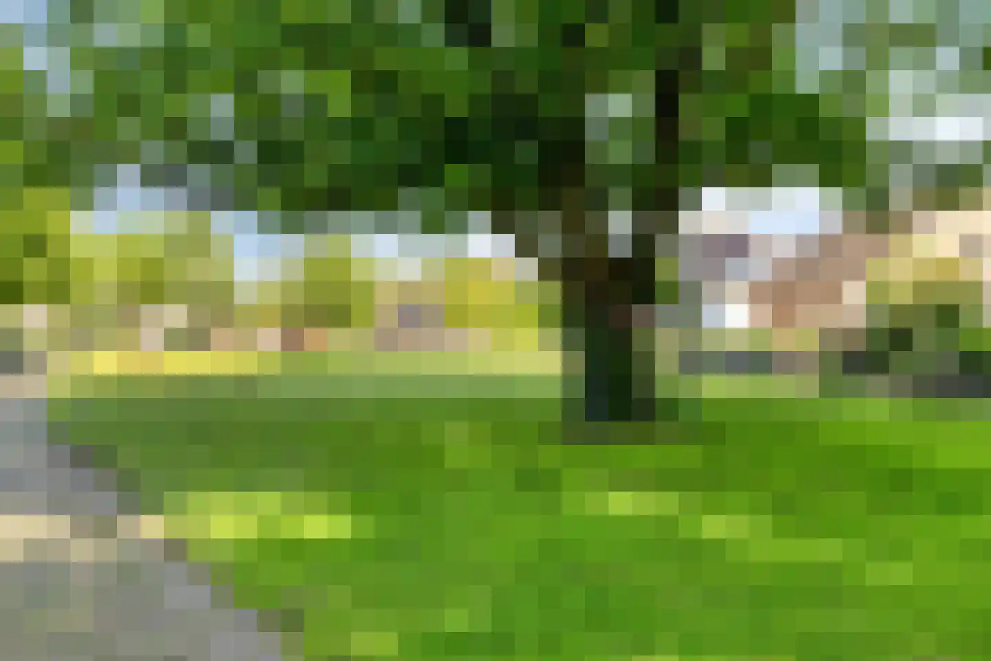 Den Tollstraat 42 Koudekerk aan den Rijn thumbnail 47