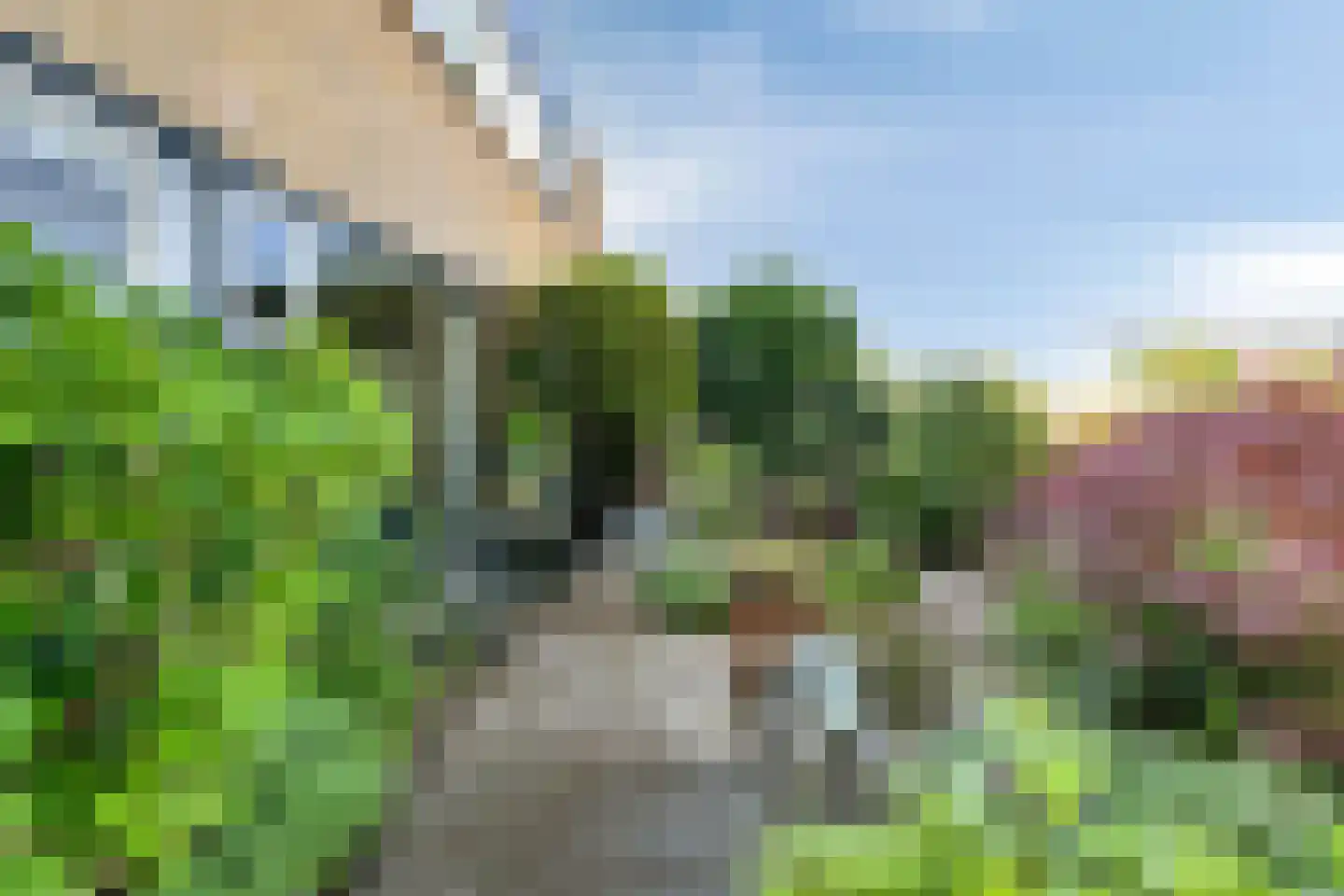 Den Tollstraat 42 Koudekerk aan den Rijn thumbnail 5
